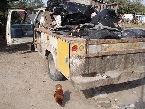 The God of the trash heap
