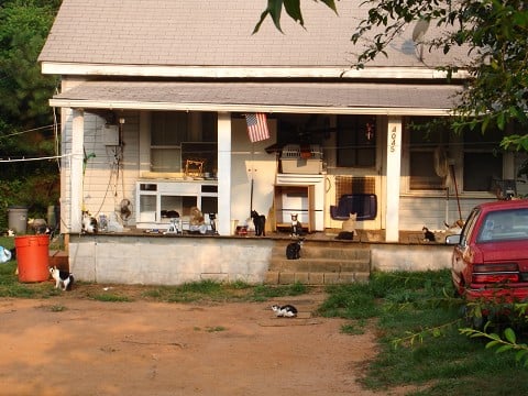 Parable #3:  Cats on a porch