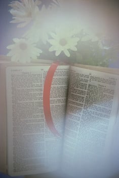 The Bible:  third part of the trinity?