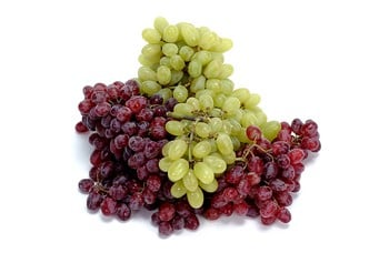 We are becoming old wineskins