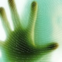 Your identity vs. your role