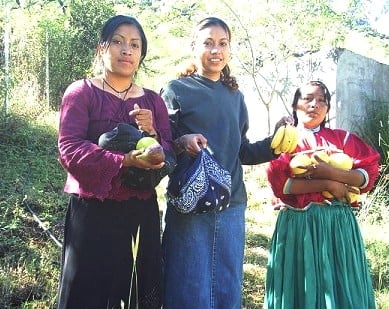 Please help these native missionaries