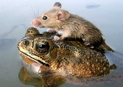 Photo in Need of a Caption #2 - Winner
