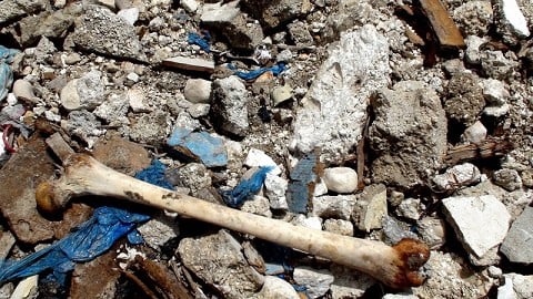 Dry bones in Haiti's rubble