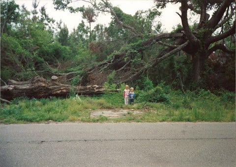 Name that photo: AIM's first summer