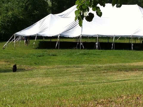 Welcome to the wedding banquet