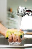 You're either a sponge or a spigot