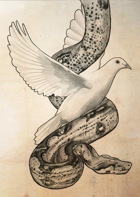 Shrewd as snakes &amp; innocent as doves